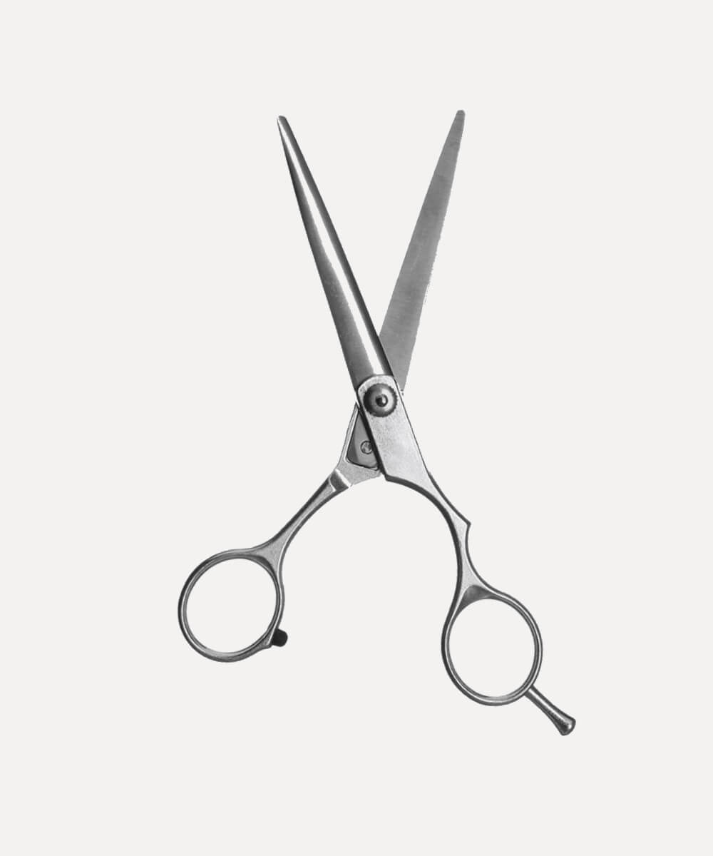 Silver Hair Cutting Scissor